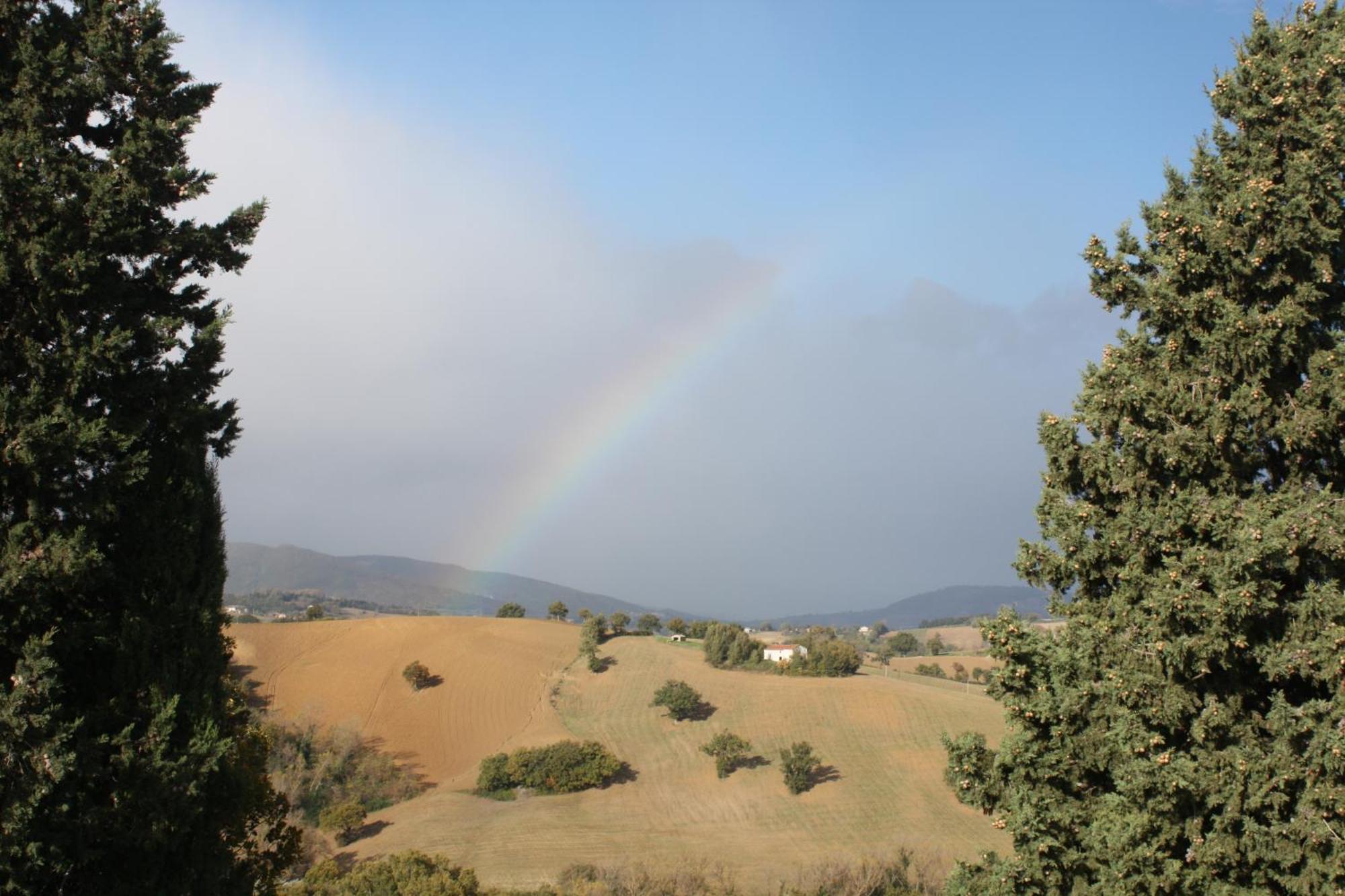 Agriturismo La Corte Sul Lago Cingoli Rum bild