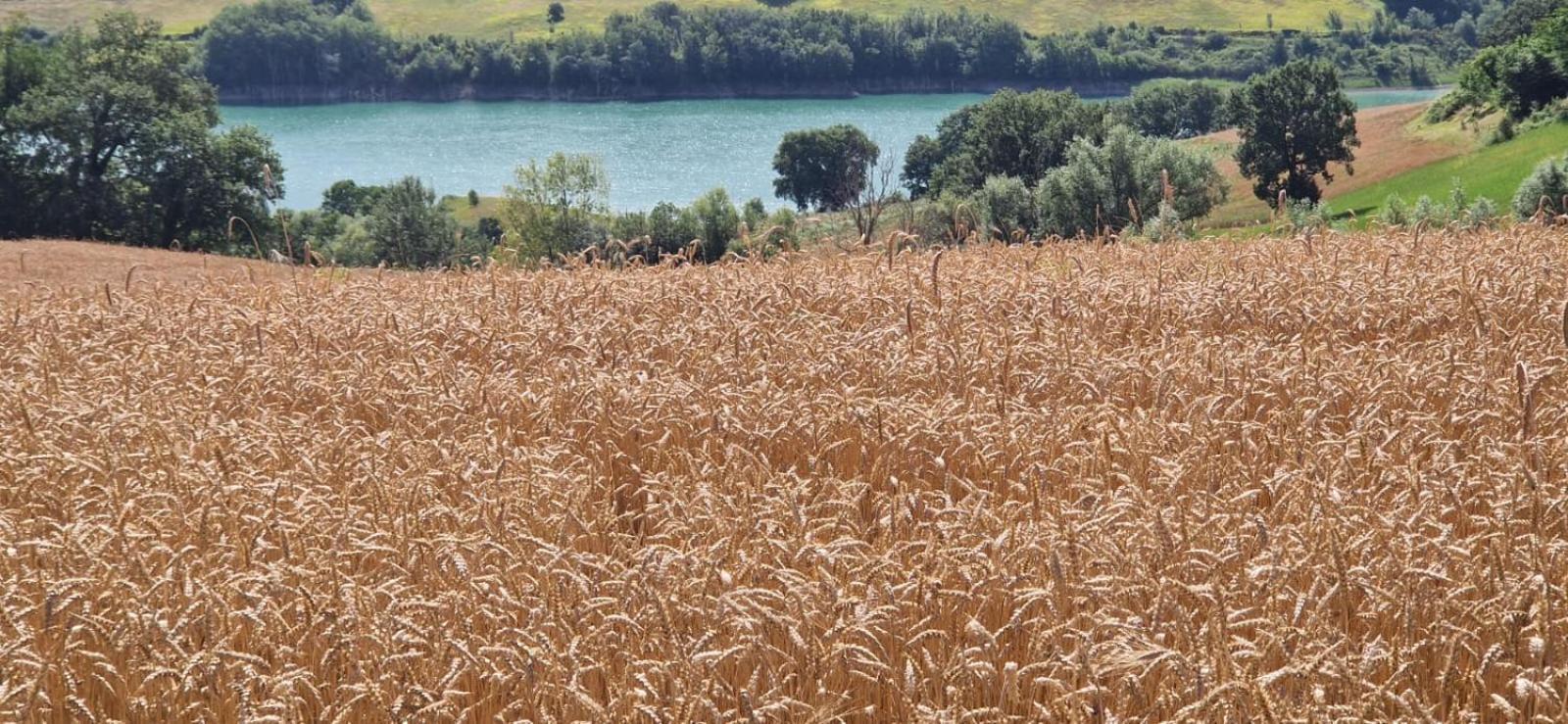 Agriturismo La Corte Sul Lago Cingoli Exteriör bild