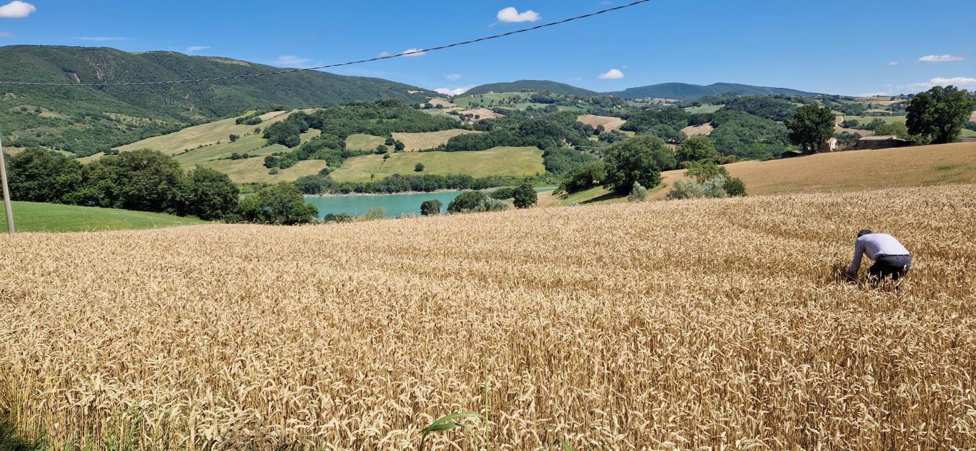 Agriturismo La Corte Sul Lago Cingoli Exteriör bild